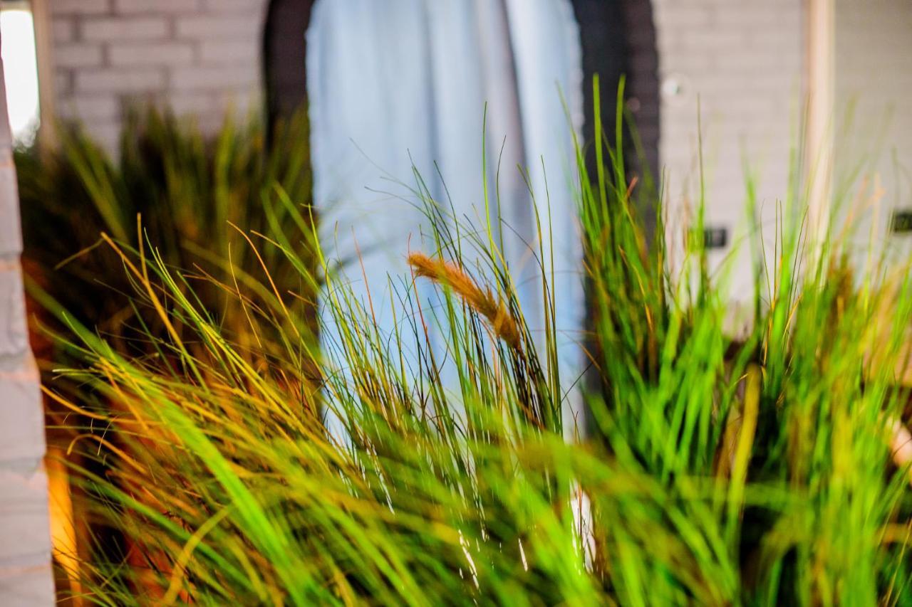 Gastenverblijf Zomerdijk Meppel Dış mekan fotoğraf